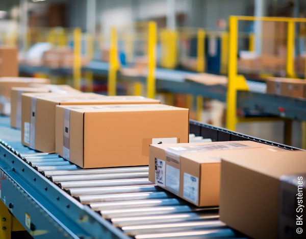 BK Systèmes WMS APS logiciel logistique gestion stock entrepôt supply chain